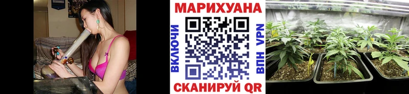 Конопля Ganja  Иннополис 